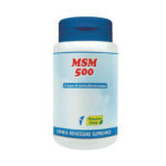 MSM 500 – 100 CAPSULE - NATURAL POINT
